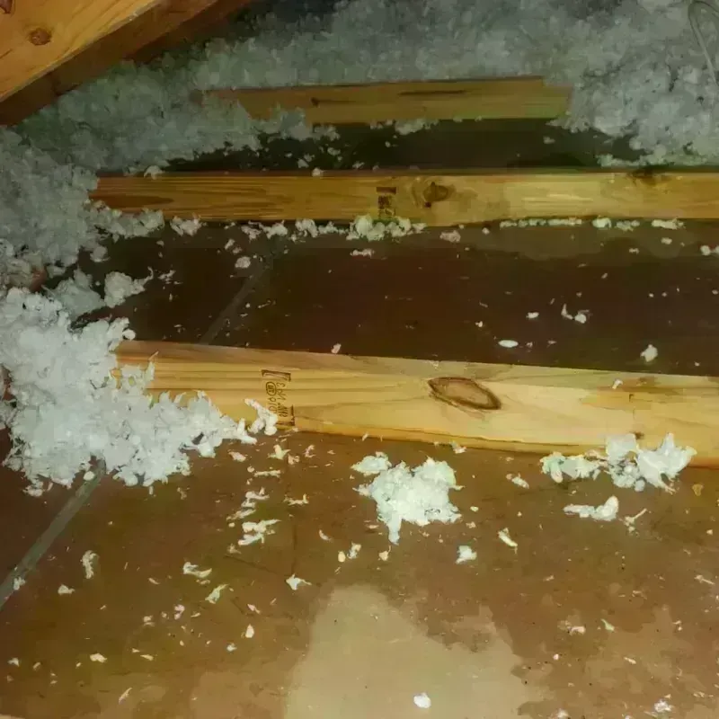 Attic Water Damage in West Carson, CA