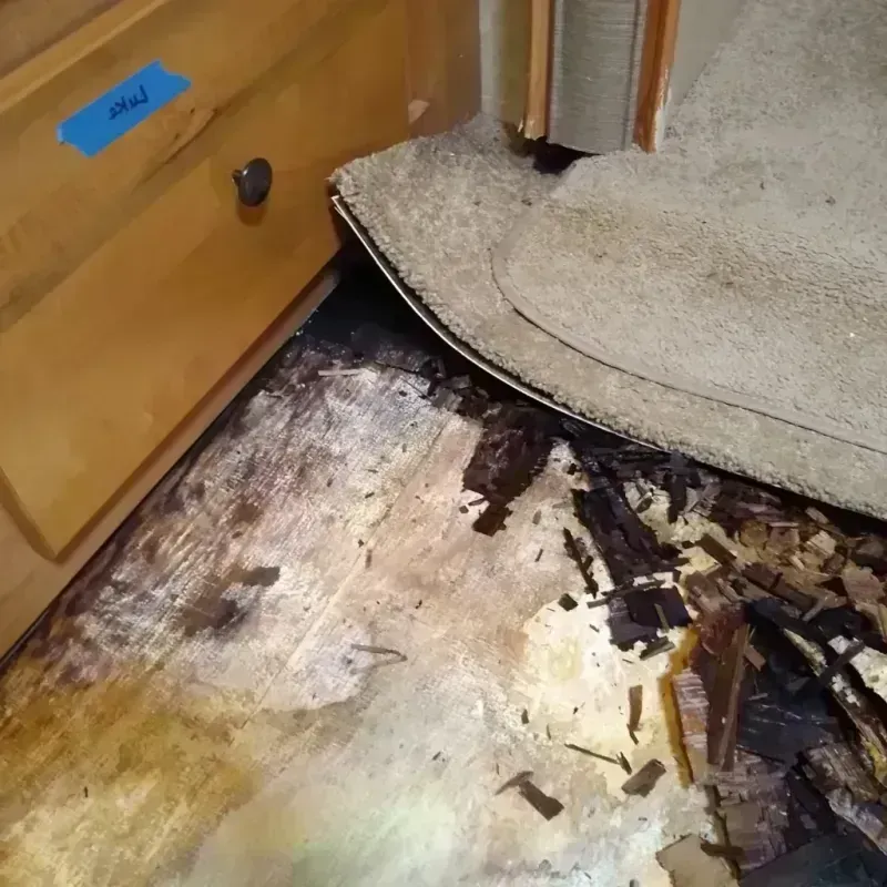 Best Wood Floor Water Damage Service in West Carson, CA